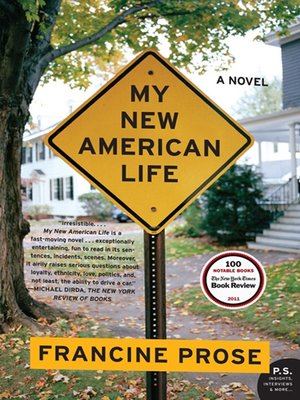 cover image of My New American Life